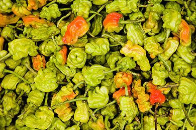 《最终幻想14》监督表示下一资料片的剧情在做了